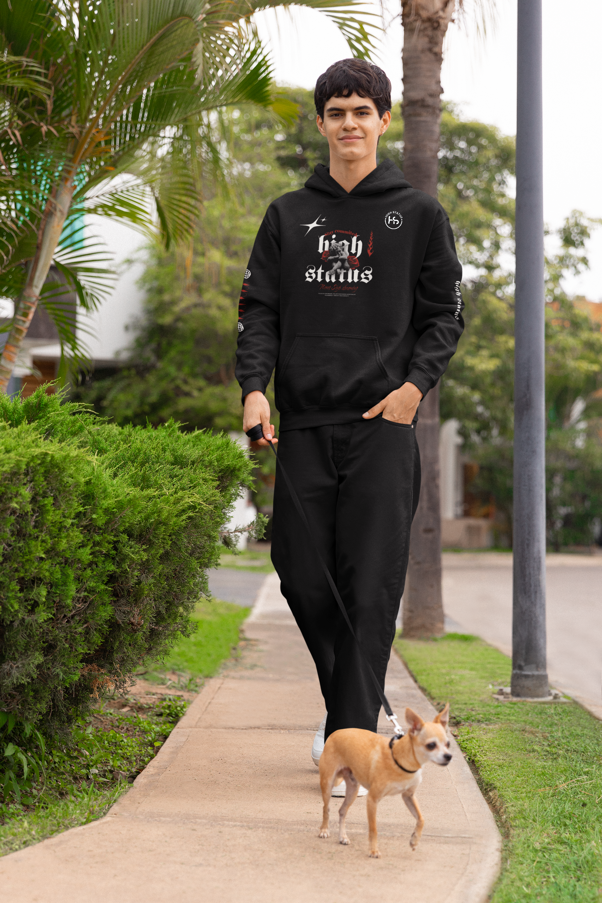 HIGH STATUS DREAM HOODIE