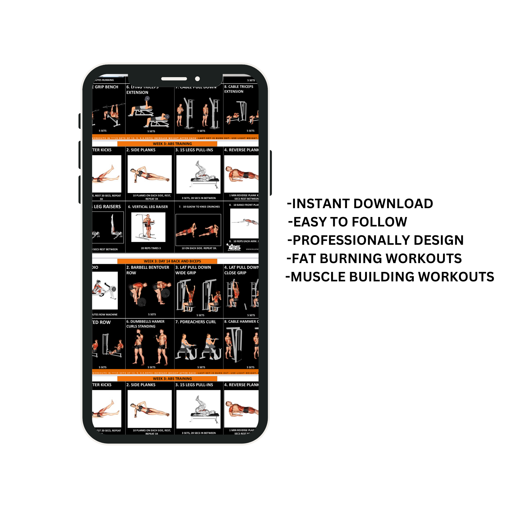 SHRED FIT (6 WEEKS WORKOUT PLAN)