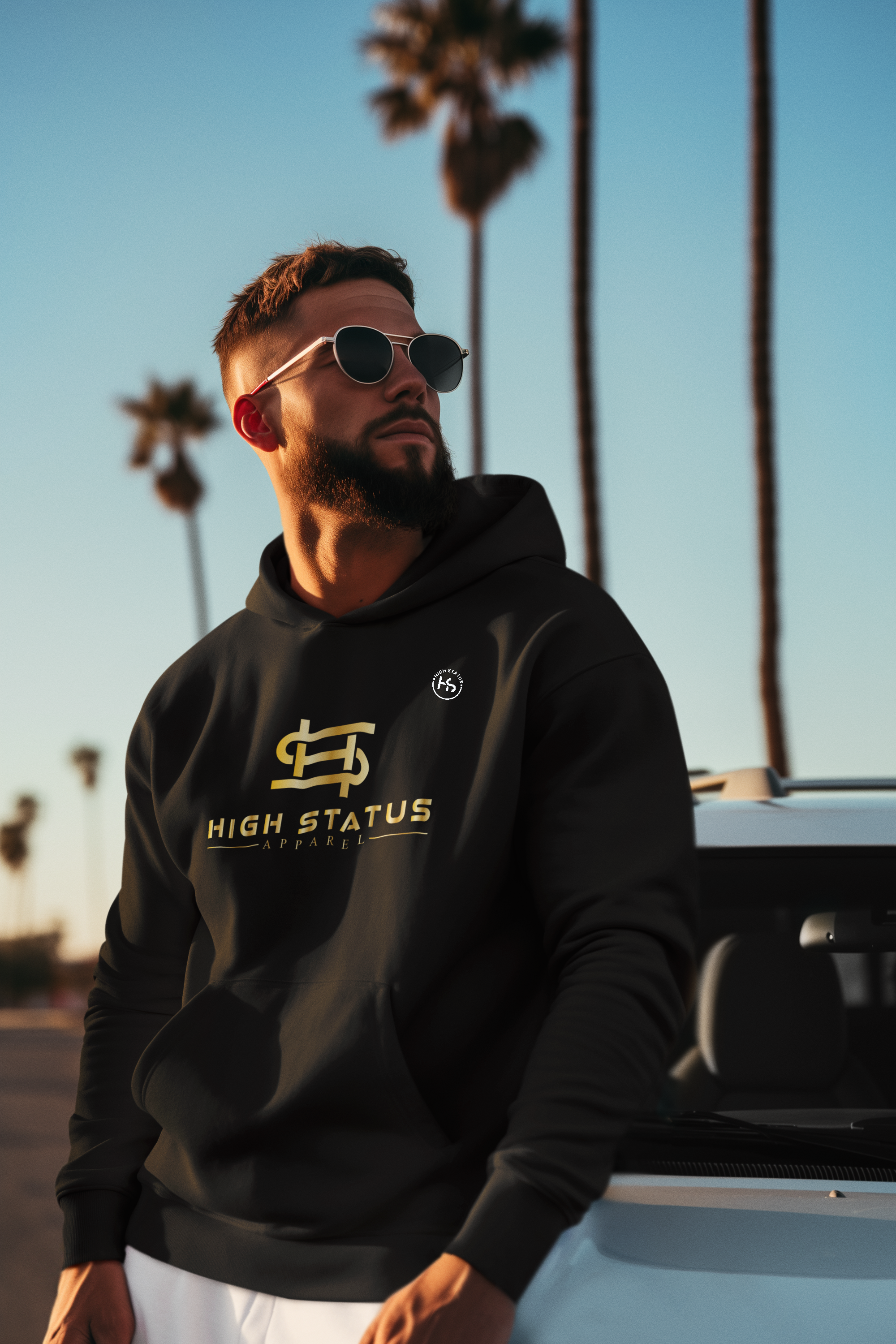 HIGH STATUS APPAREL LUXURY HOODIE