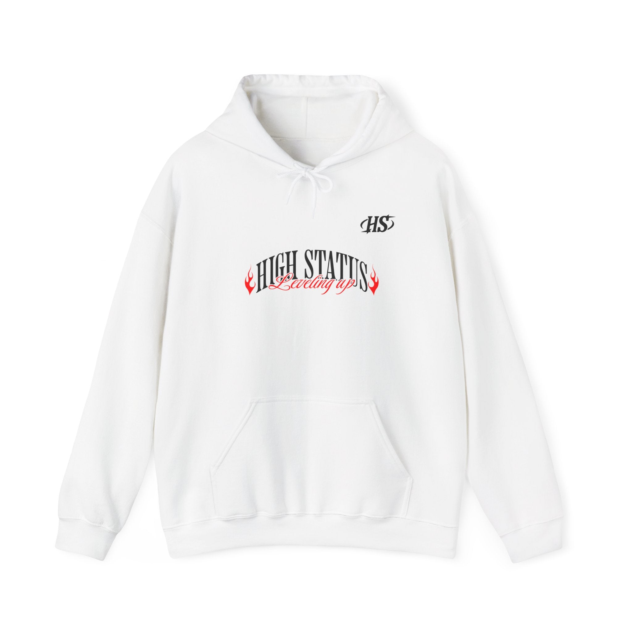 HIGH STATUS LEVELING UP HOODIE