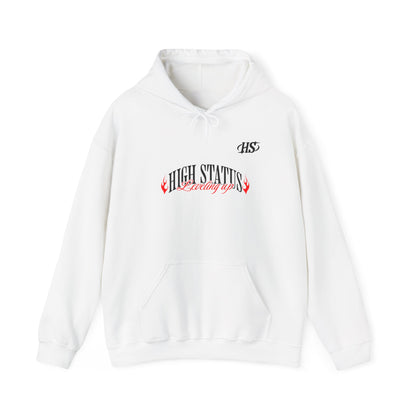 HIGH STATUS LEVELING UP HOODIE