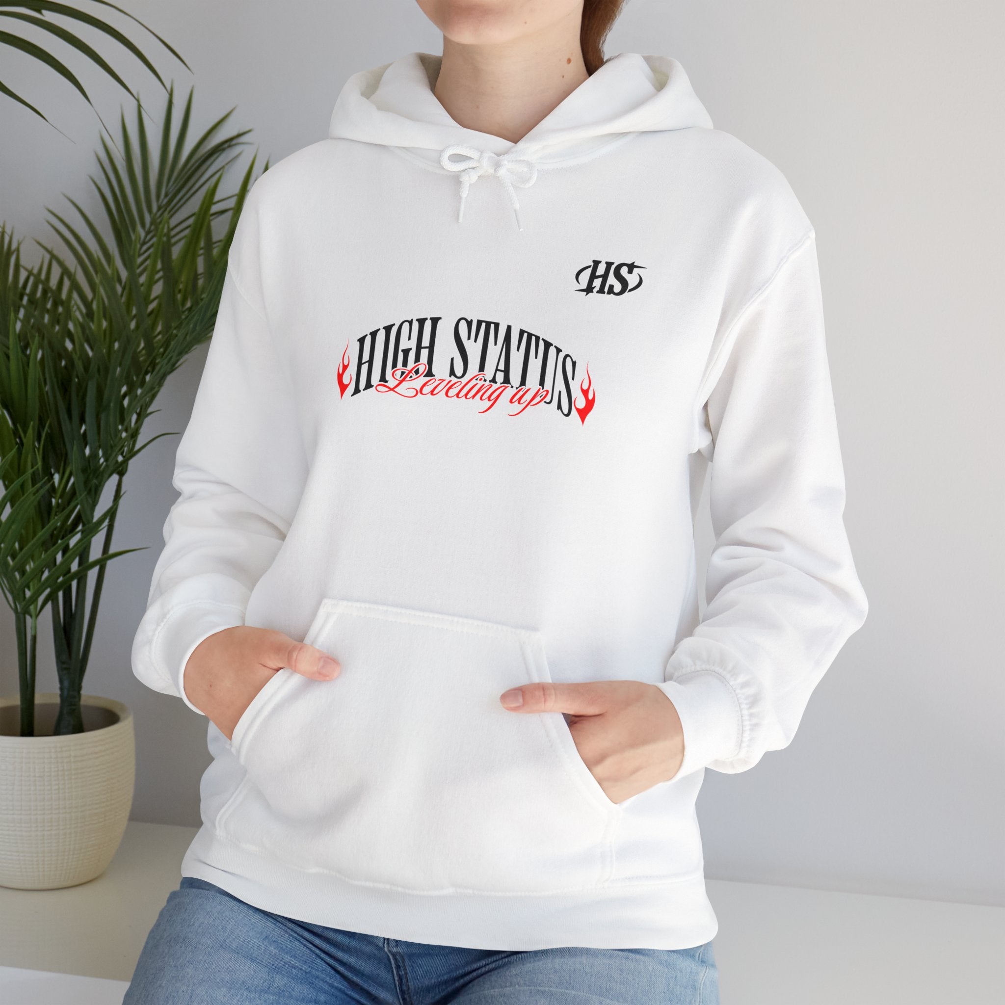 HIGH STATUS LEVELING UP HOODIE