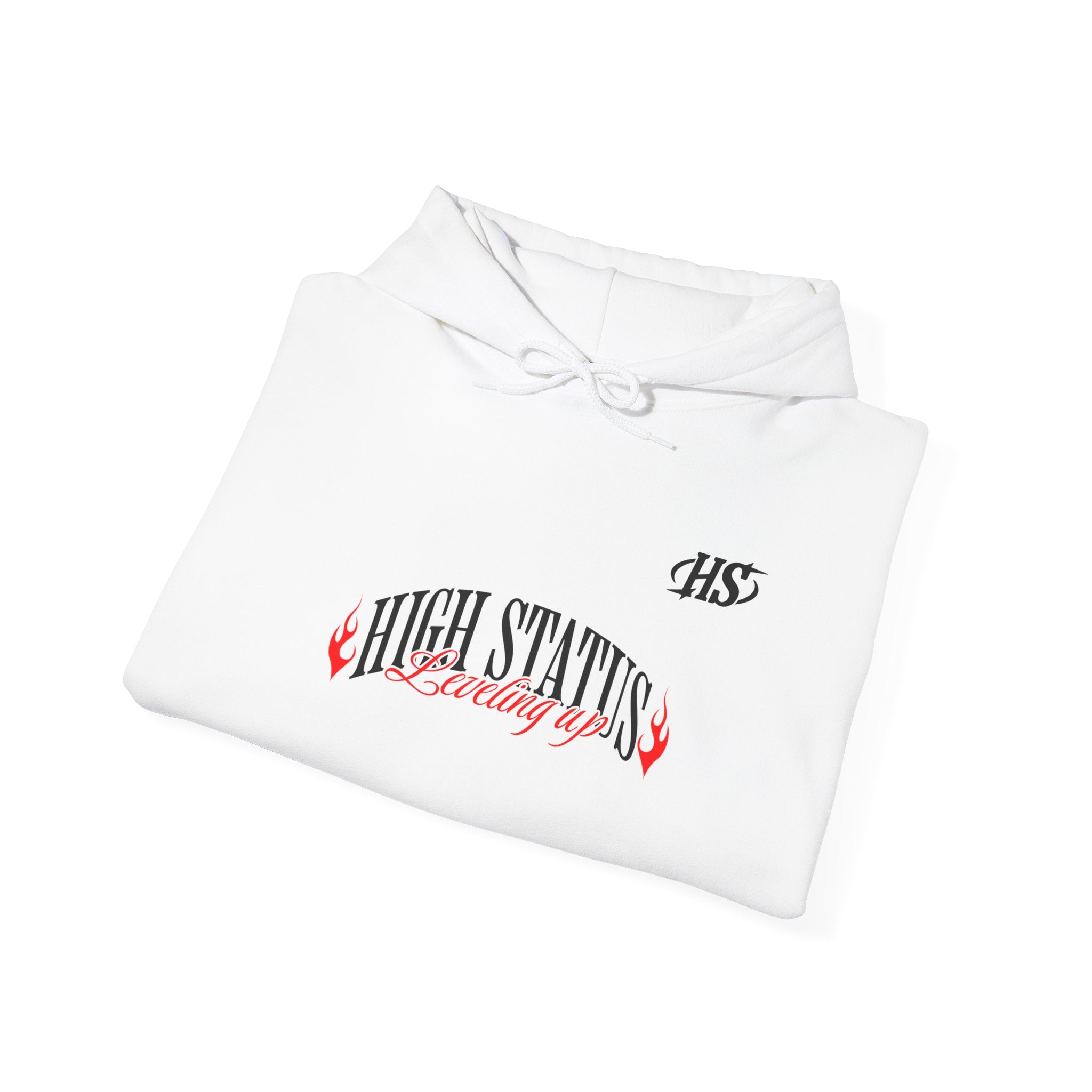 HIGH STATUS LEVELING UP HOODIE