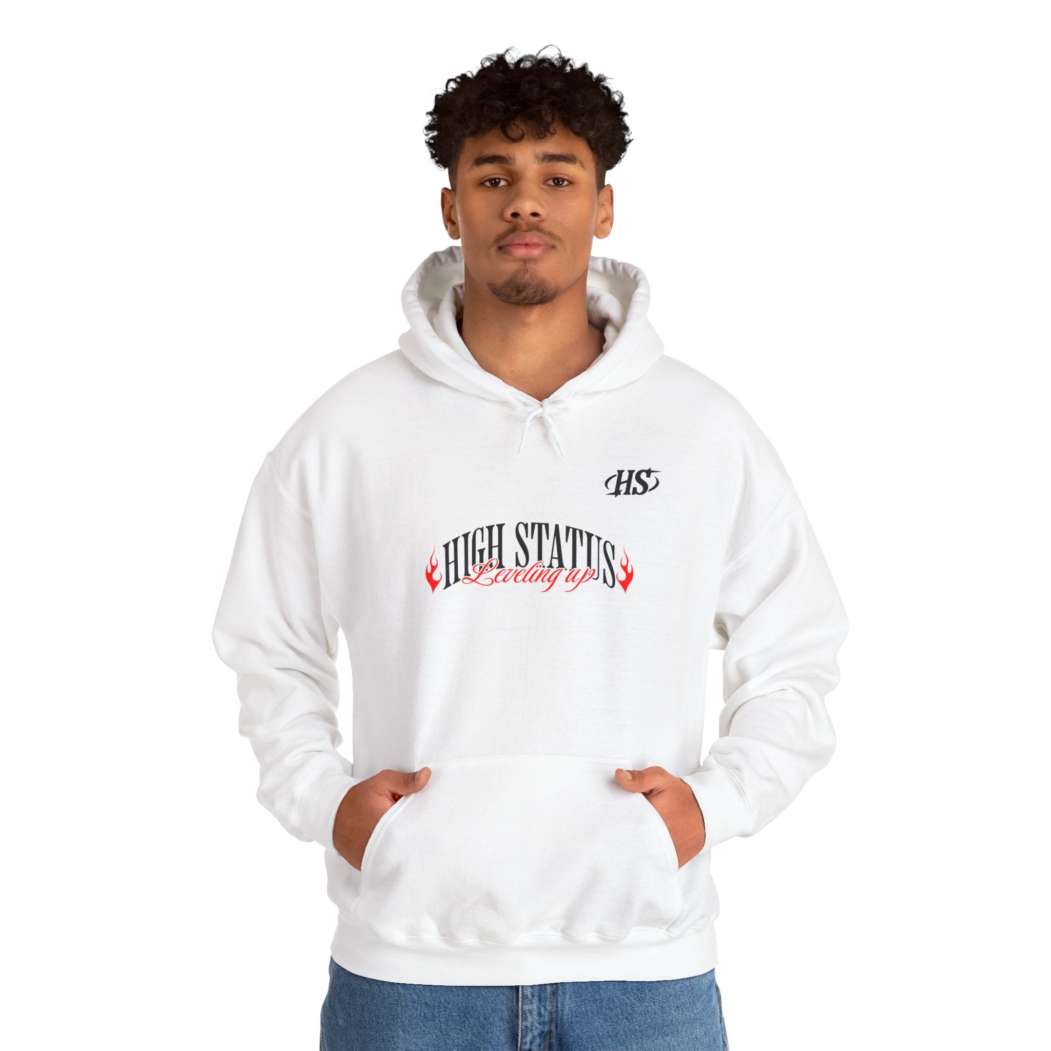 HIGH STATUS LEVELING UP HOODIE