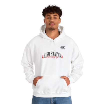 HIGH STATUS LEVELING UP HOODIE