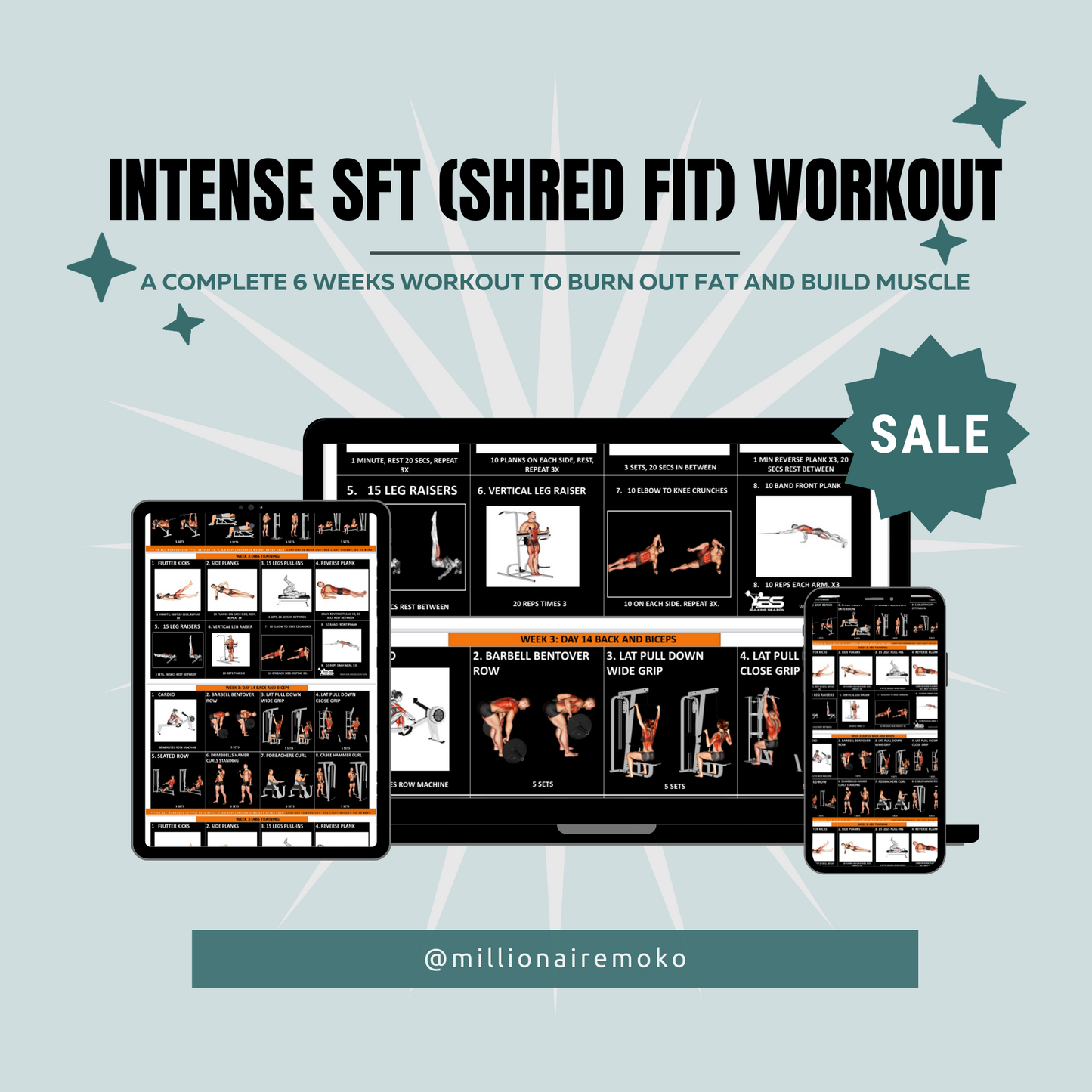 THE SHRED FIT (SFT) WORKOUT PLAN + A FREE SHIRT BUNDLE