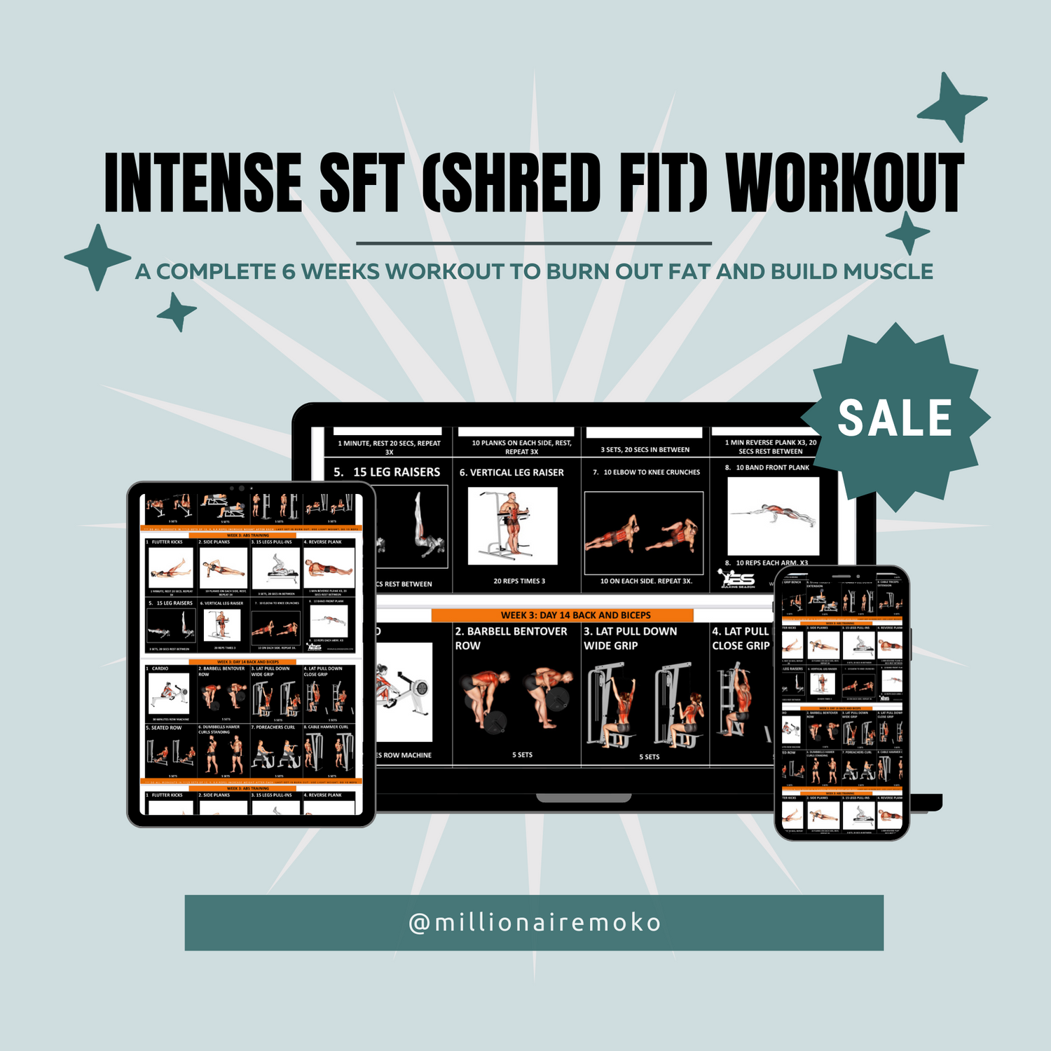 THE SHRED FIT (SFT) WORKOUT PLAN + A FREE SHIRT BUNDLE