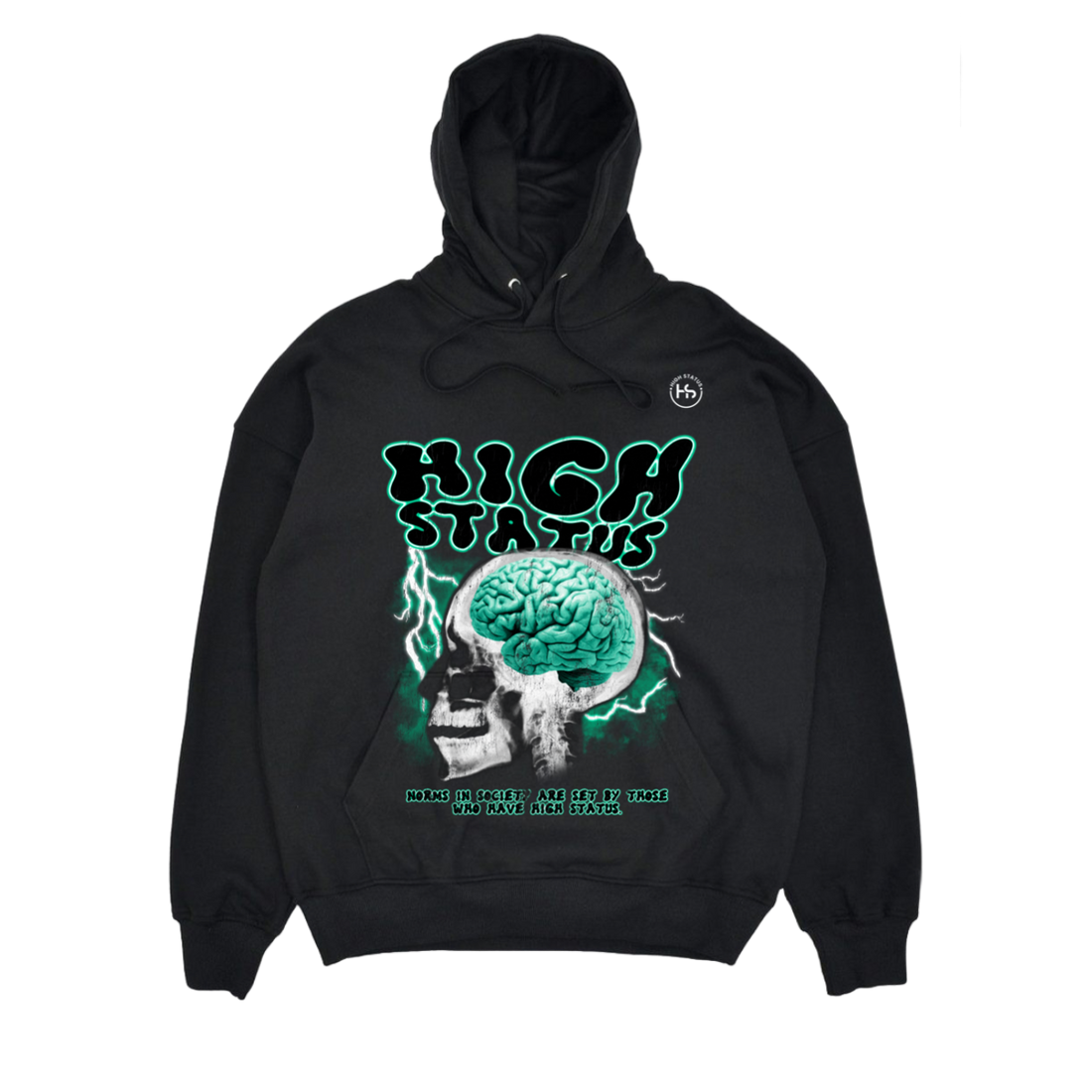 HIGH STATUS NORM IN SOCIETY HOODIE