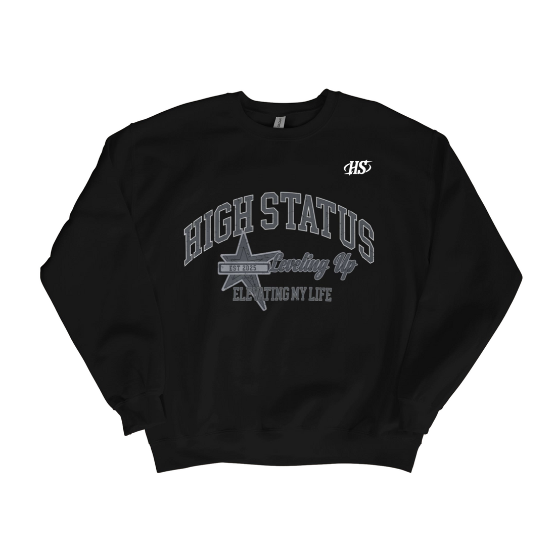 HIGH STATUS LVL UP SWEATER