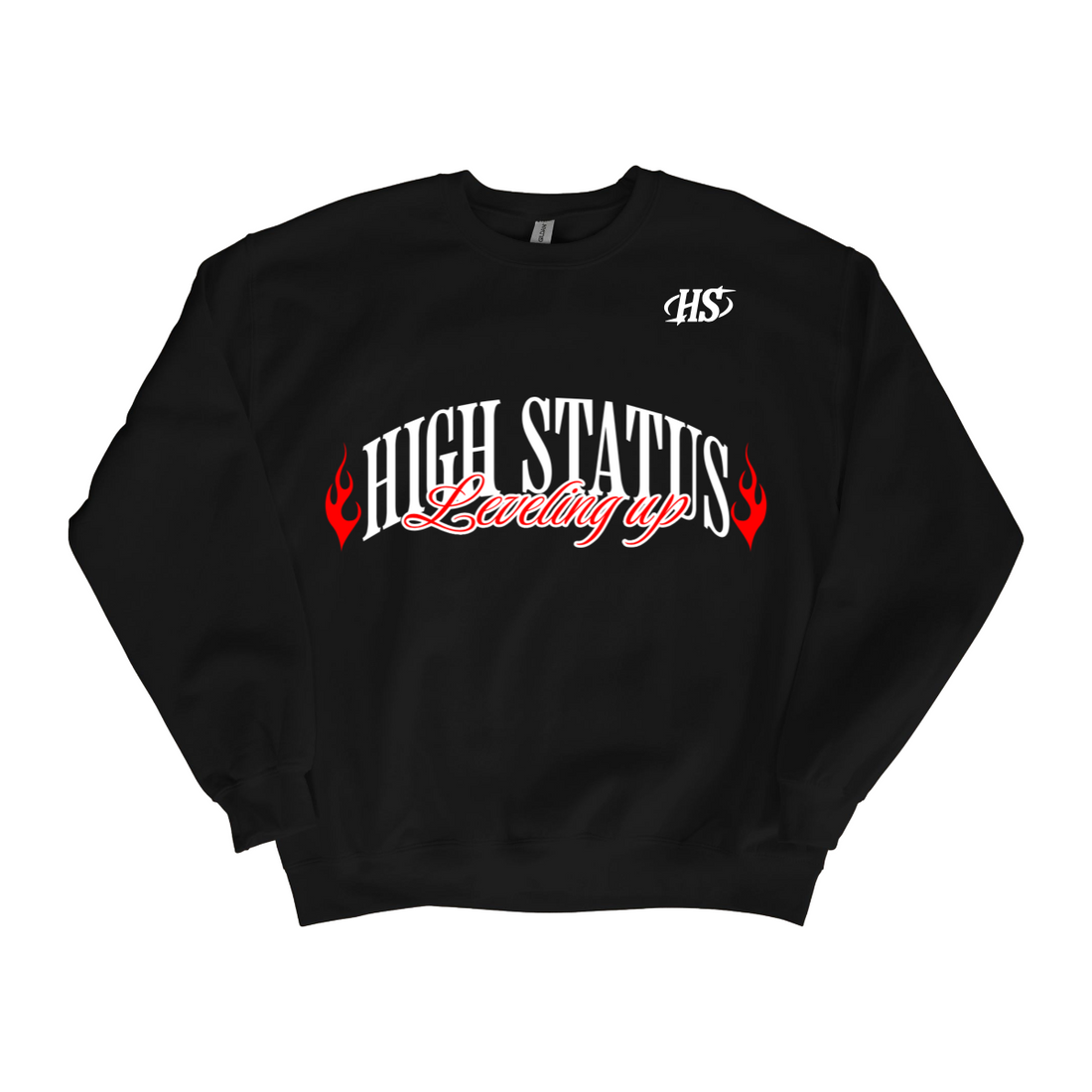HIGH STATUS &quot;LEVELING UP&quot; SWEATER