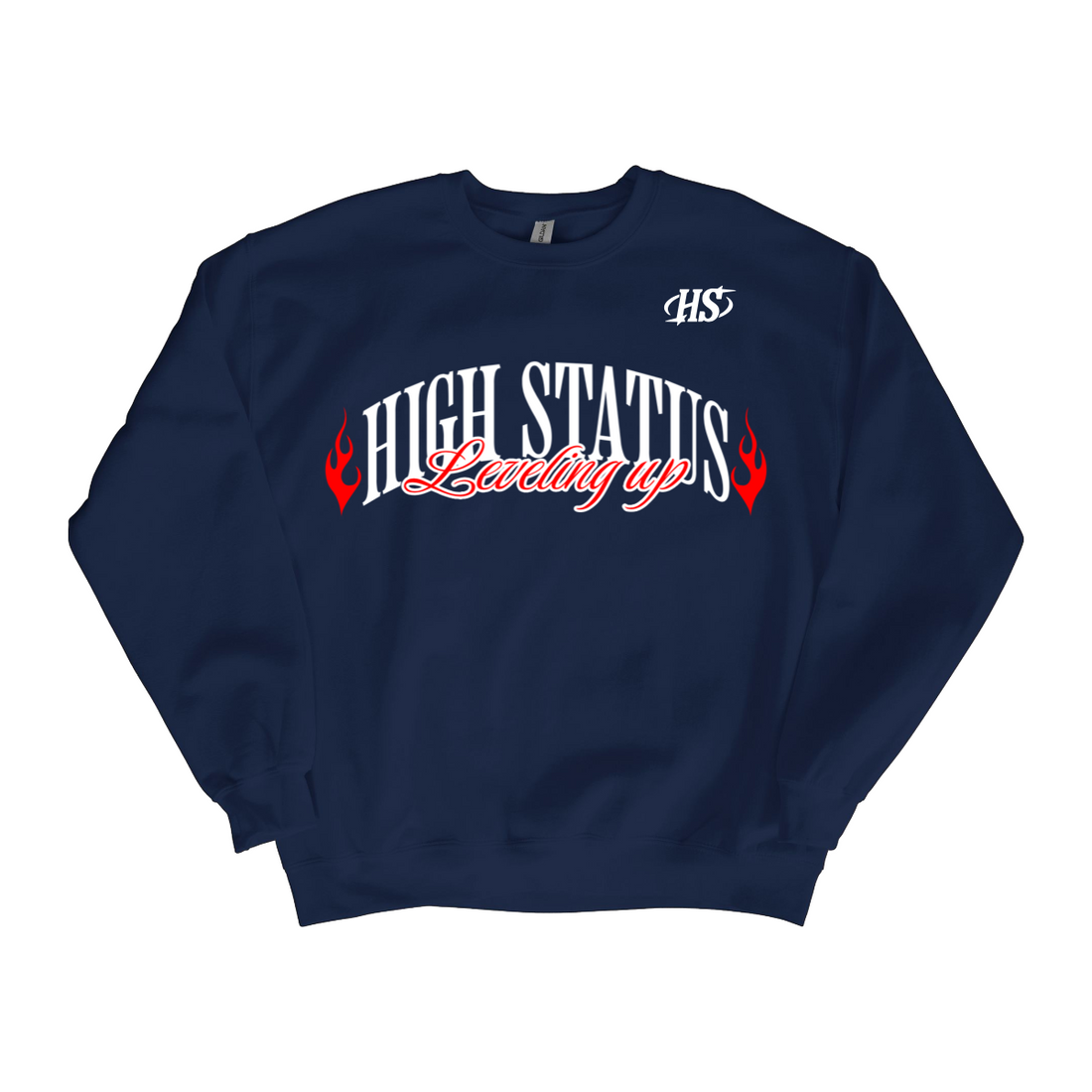 HIGH STATUS &quot;LEVELING UP&quot; SWEATER
