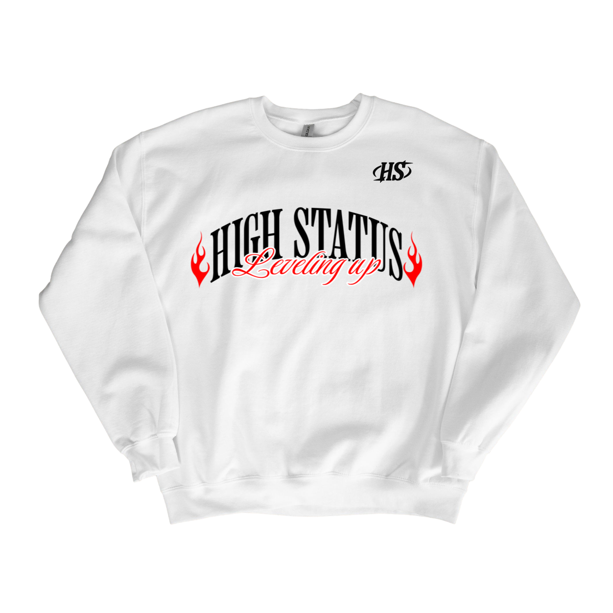 HIGH STATUS &quot;LEVELING UP&quot; SWEATER
