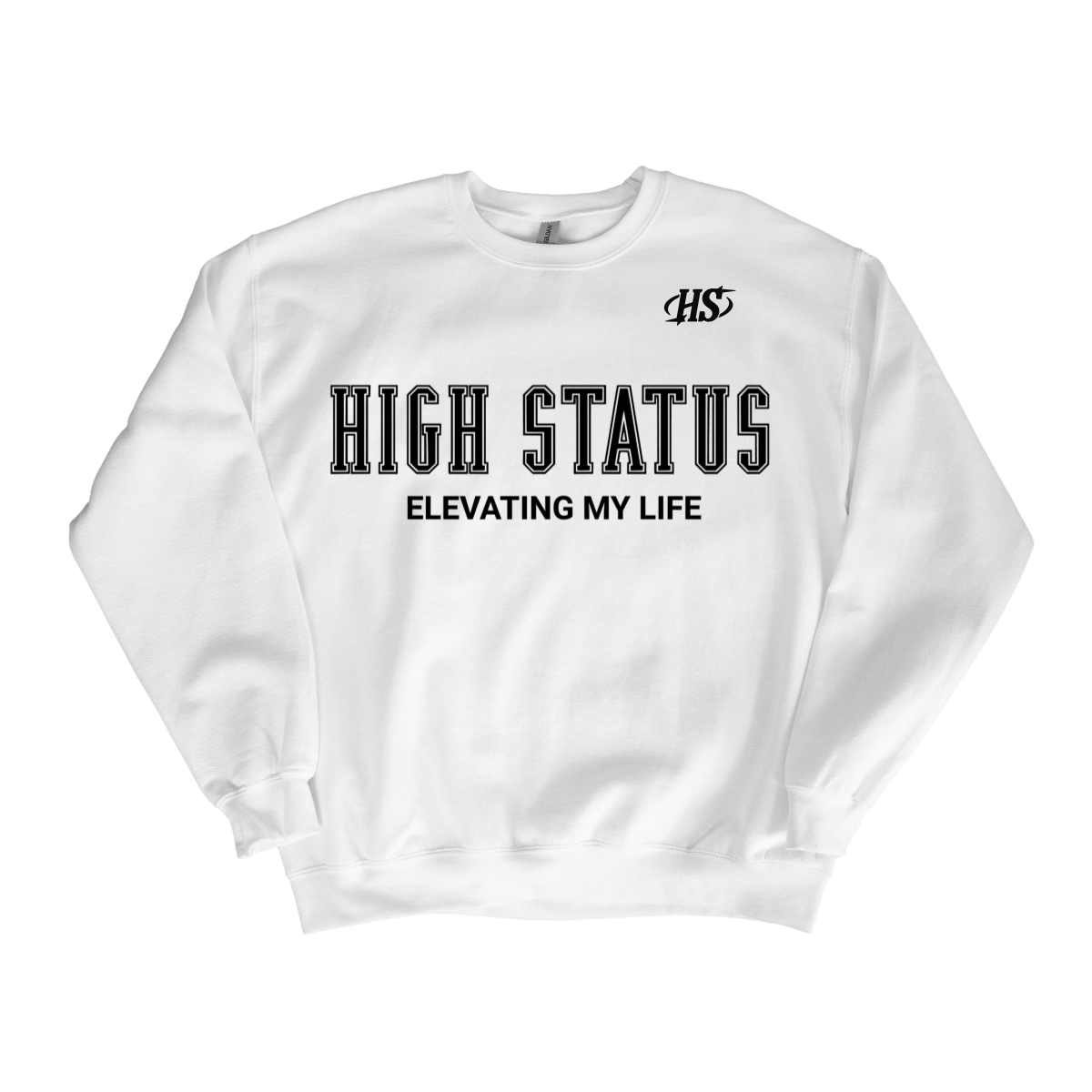HIGH STATUS &quot;ELEVATING MY LIFE&quot; SWEATER