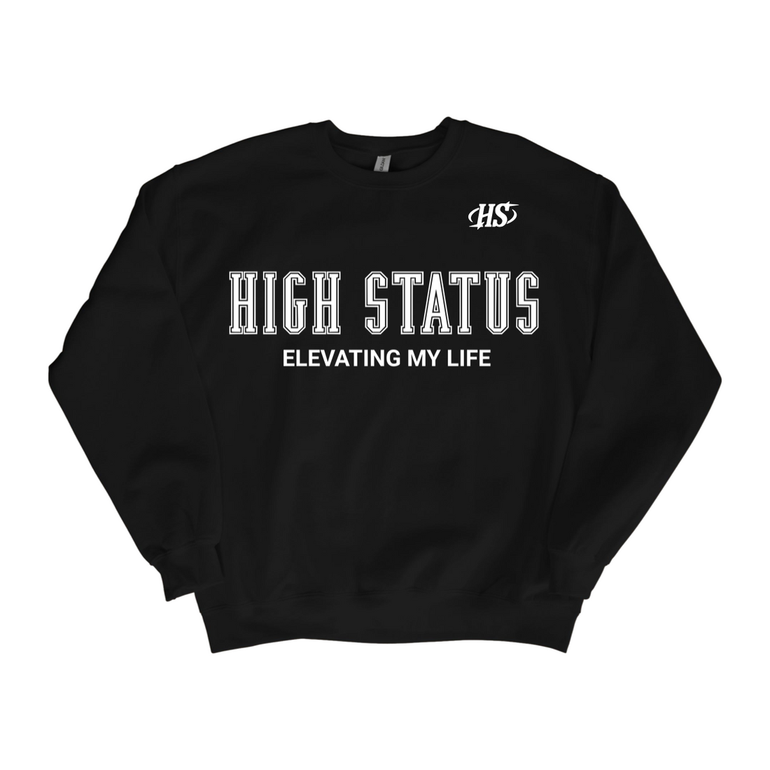 HIGH STATUS &quot;ELEVATING MY LIFE&quot; SWEATER