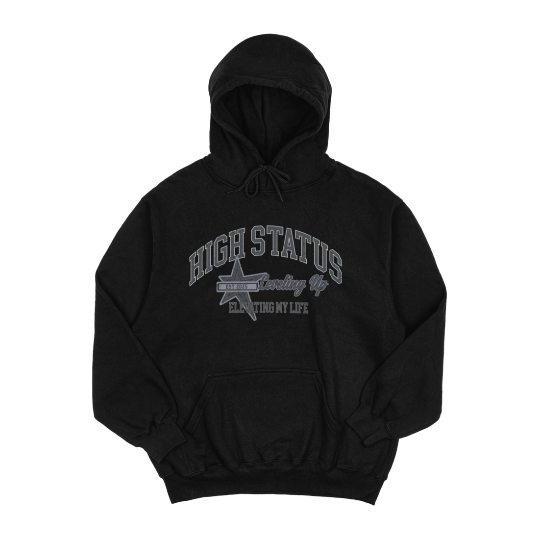 HIGH STATUS LVL UP HOODIE