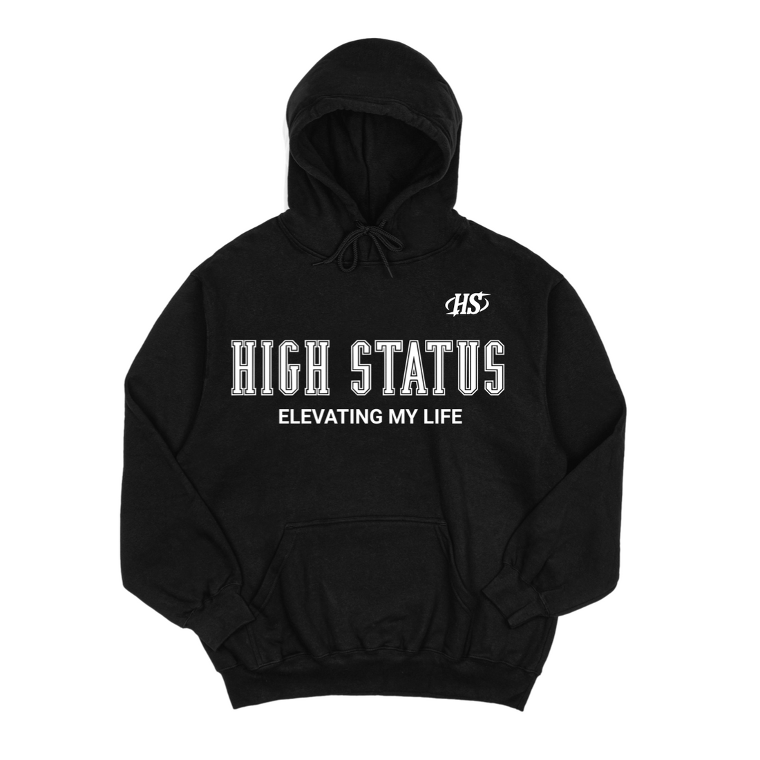 HIGH STATUS ELEVATING MY LIFE HOODIE