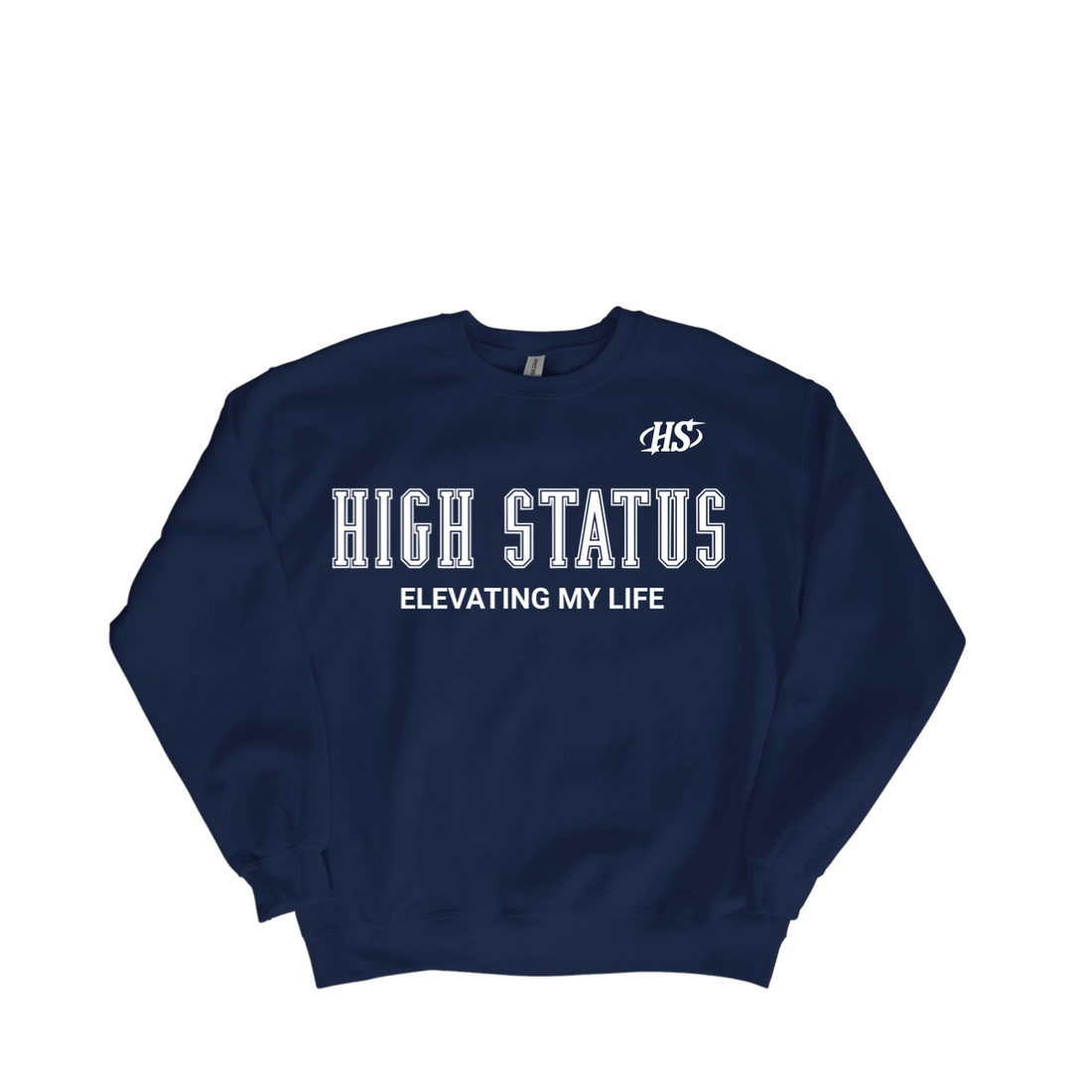 HIGH STATUS &quot;ELEVATING MY LIFE&quot; SWEATER