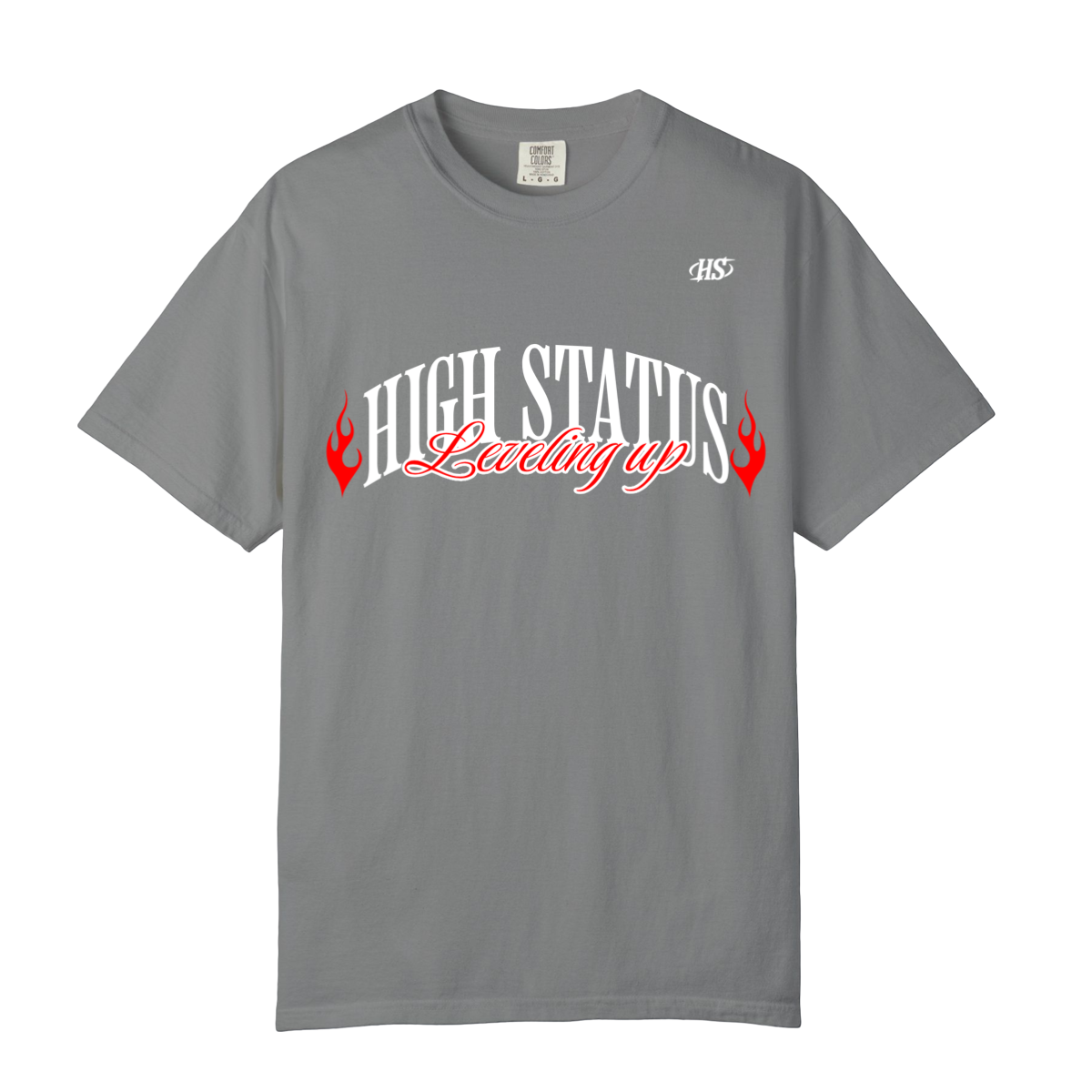 HIGH STATUS LEVELING UP TEE