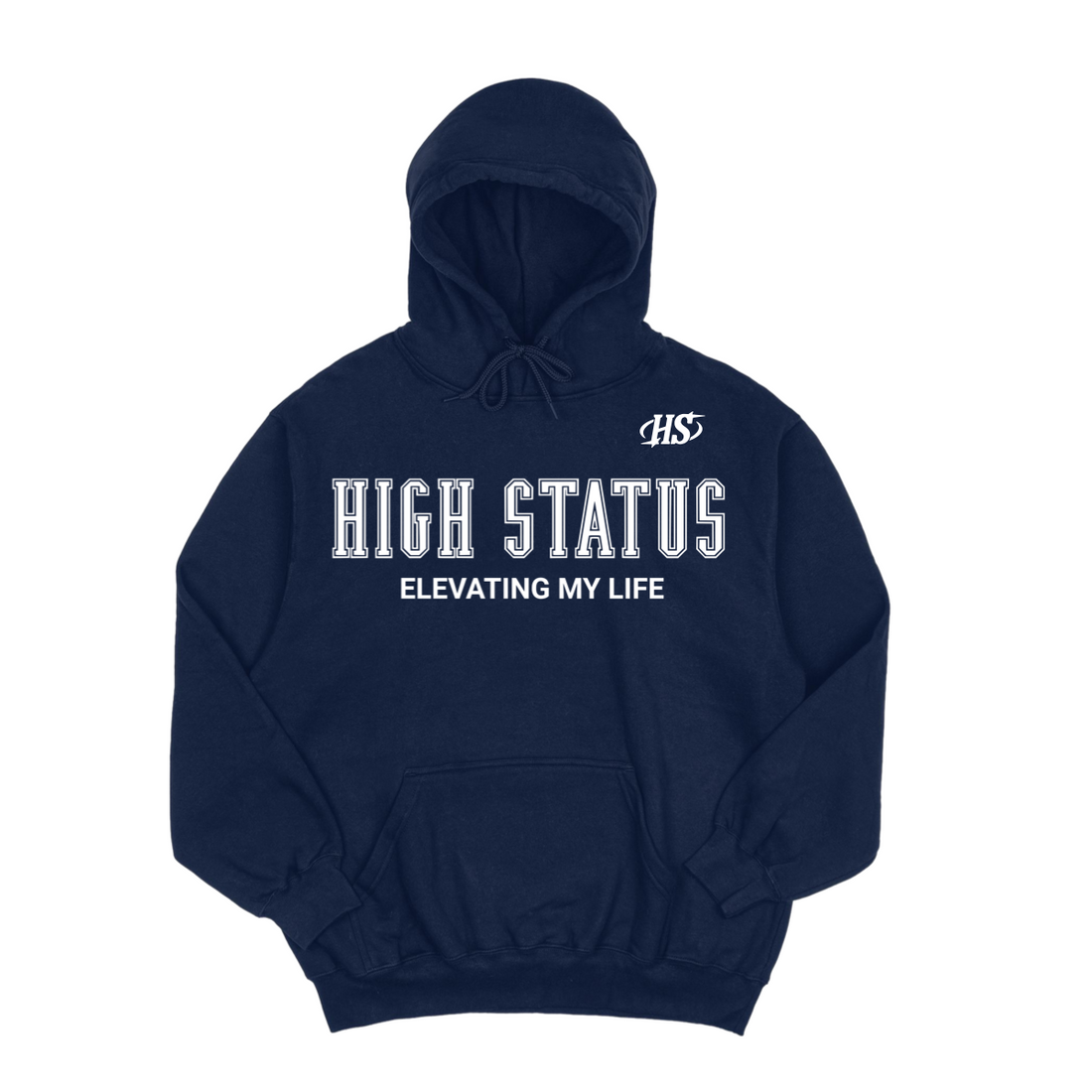 HIGH STATUS ELEVATING MY LIFE HOODIE