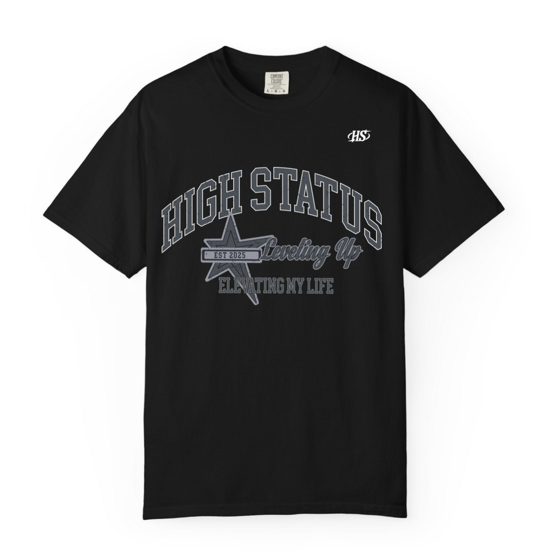 HIGH STATUS LVL UP TEE SHIRT