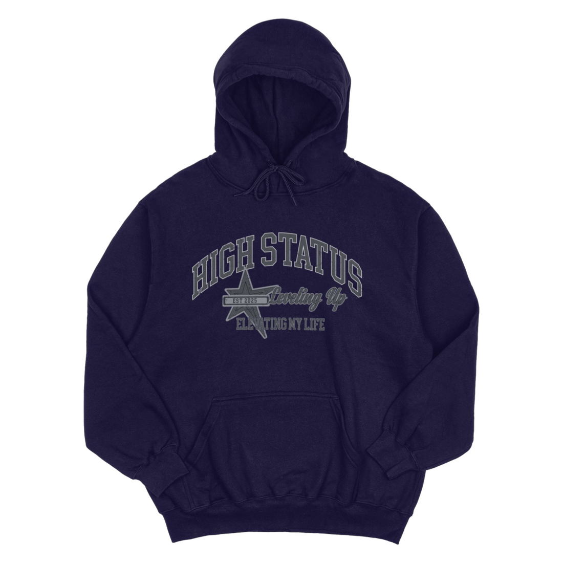 HIGH STATUS LVL UP HOODIE