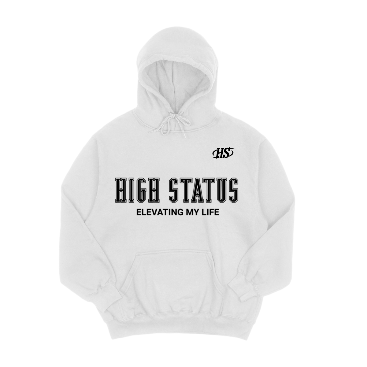 HIGH STATUS ELEVATING MY LIFE HOODIE