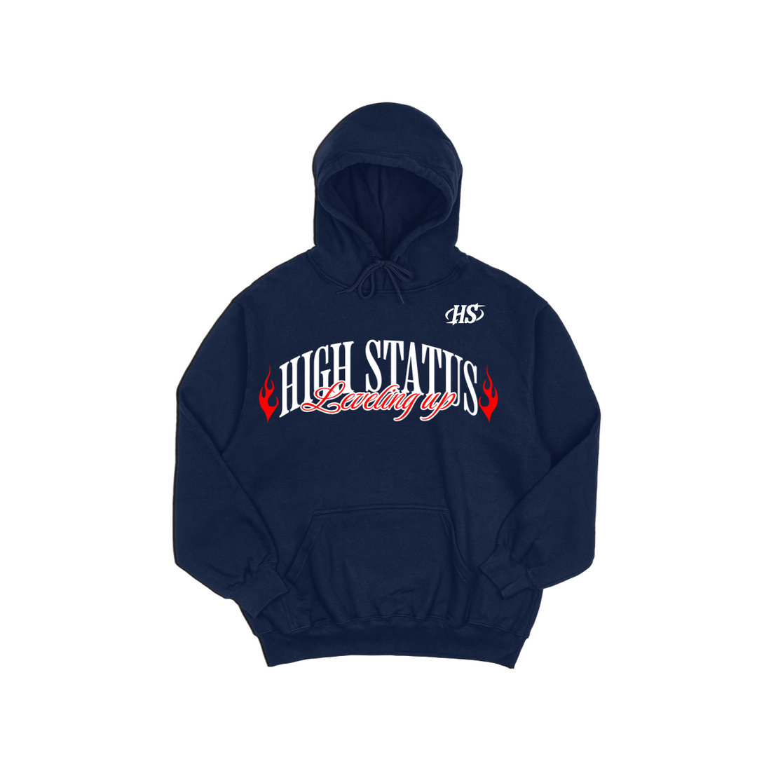 HIGH STATUS LEVELING UP HOODIE