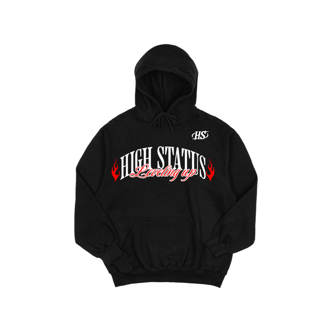 HIGH STATUS LEVELING UP HOODIE