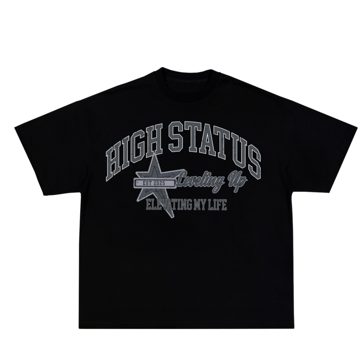 HIGH STATUS LVL UP TEE SHIRT