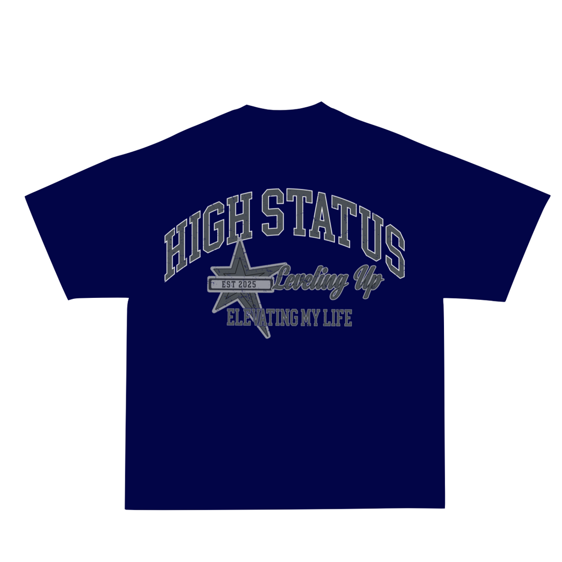 HIGH STATUS LVL UP TEE SHIRT