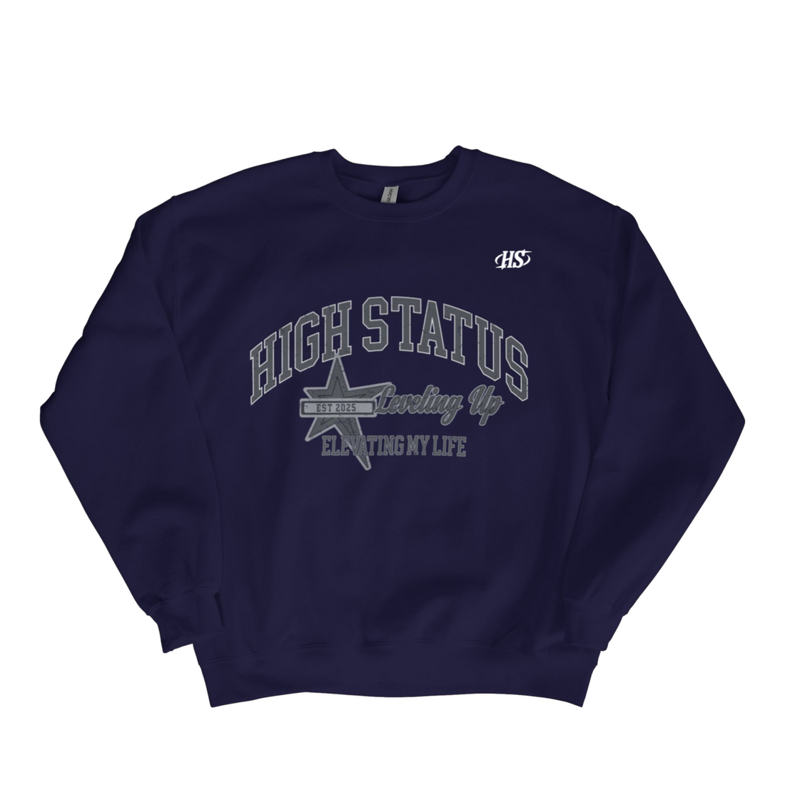 HIGH STATUS LVL UP SWEATER