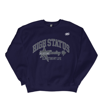 HIGH STATUS LVL UP SWEATER